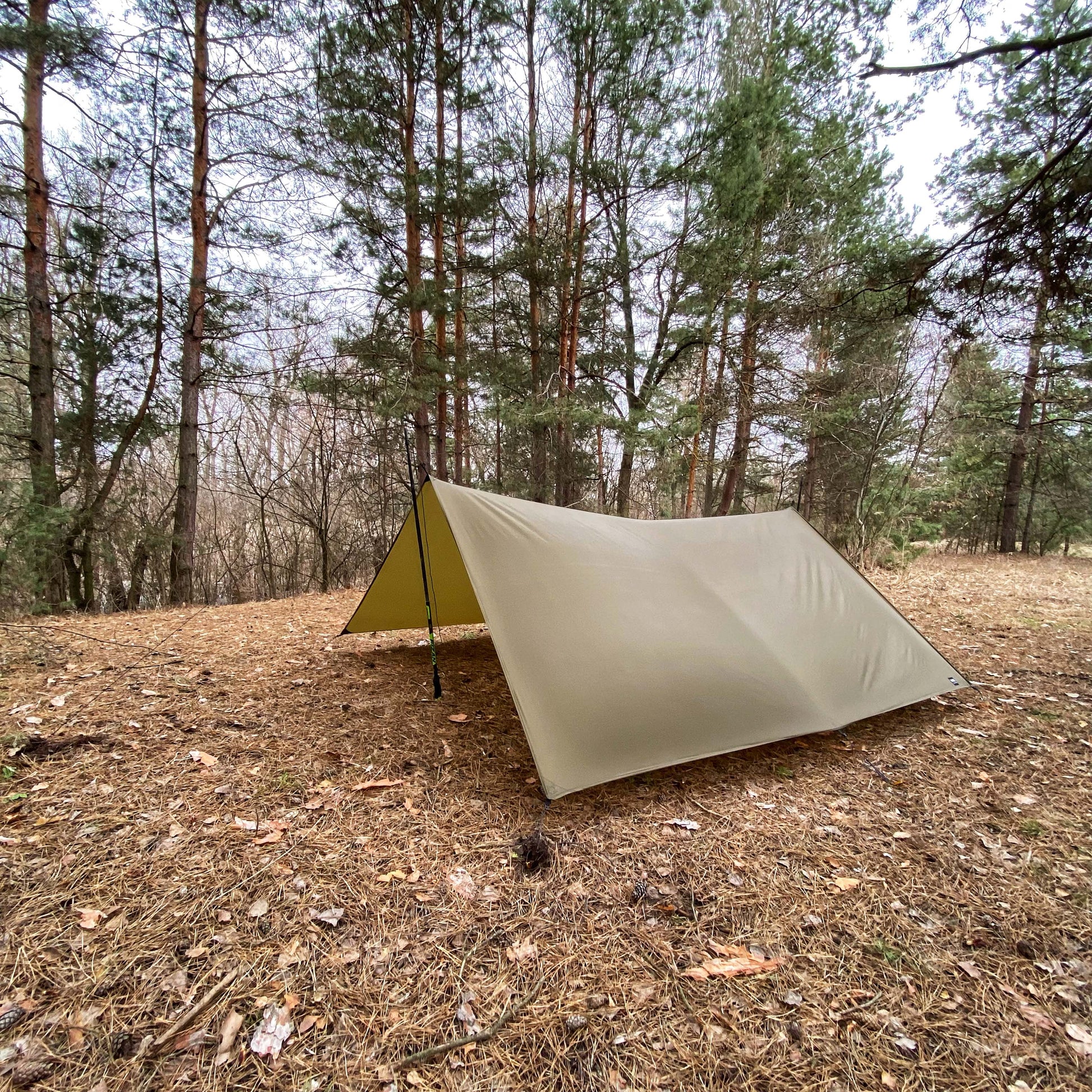 heilpraktiker tarp Zolo Max Tarp